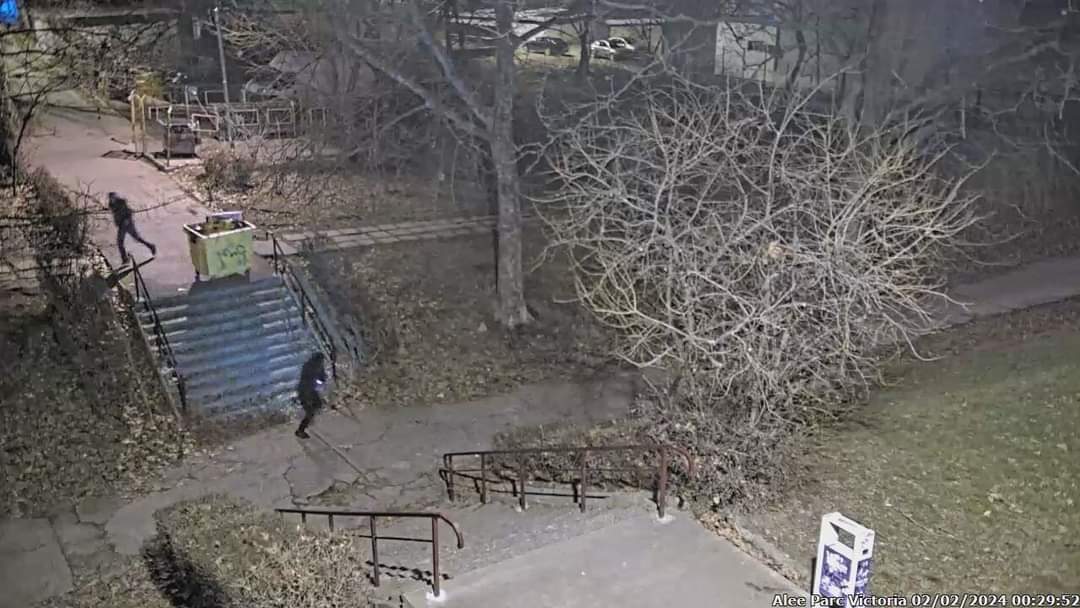 TULCEA: Doi tineri care se filmează în timp ce răstoarnă un container, surprinşi pe camerele de supraveghere. Imaginile au ajuns la Poliţie
