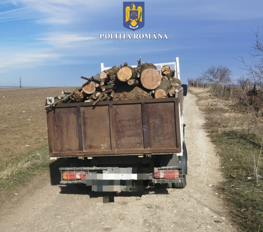 Transport de material lemnos fără documente de provenienţă. Şoferul a fost sancţionat contravenţional