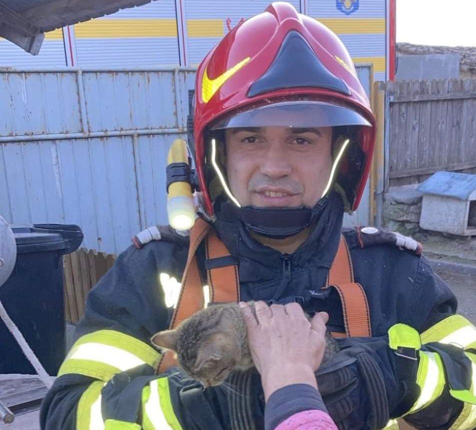 O pisică mult prea curioasă, salvată dintr-o fântână de pompierii tulceni