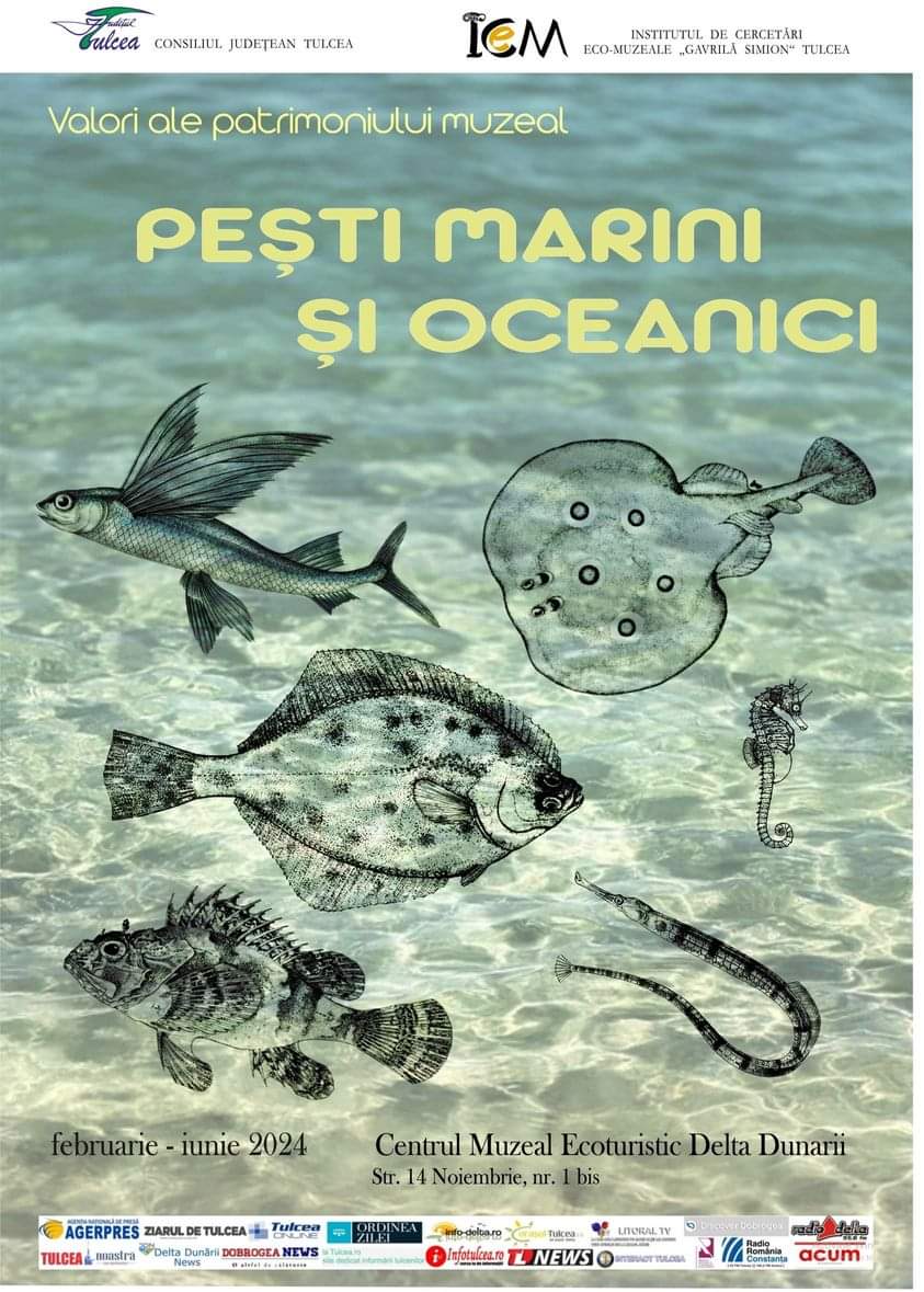 TULCEA: Expoziția ”Pești marini și oceanici”, la Centrul Muzeal Ecoturistic ”Delta Dunării”