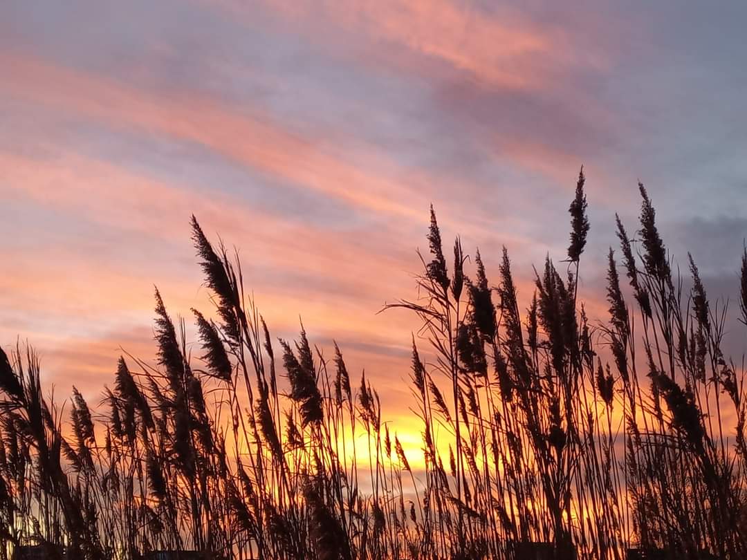 Vreme frumoasă și caldă, în Dobrogea și la malul mării