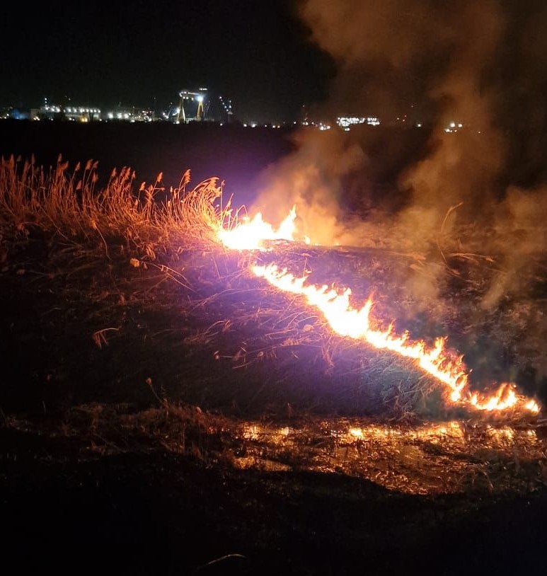TULCEA: Pompierii militari au stins 5 incendii de vegetație produse într-o singură noapte