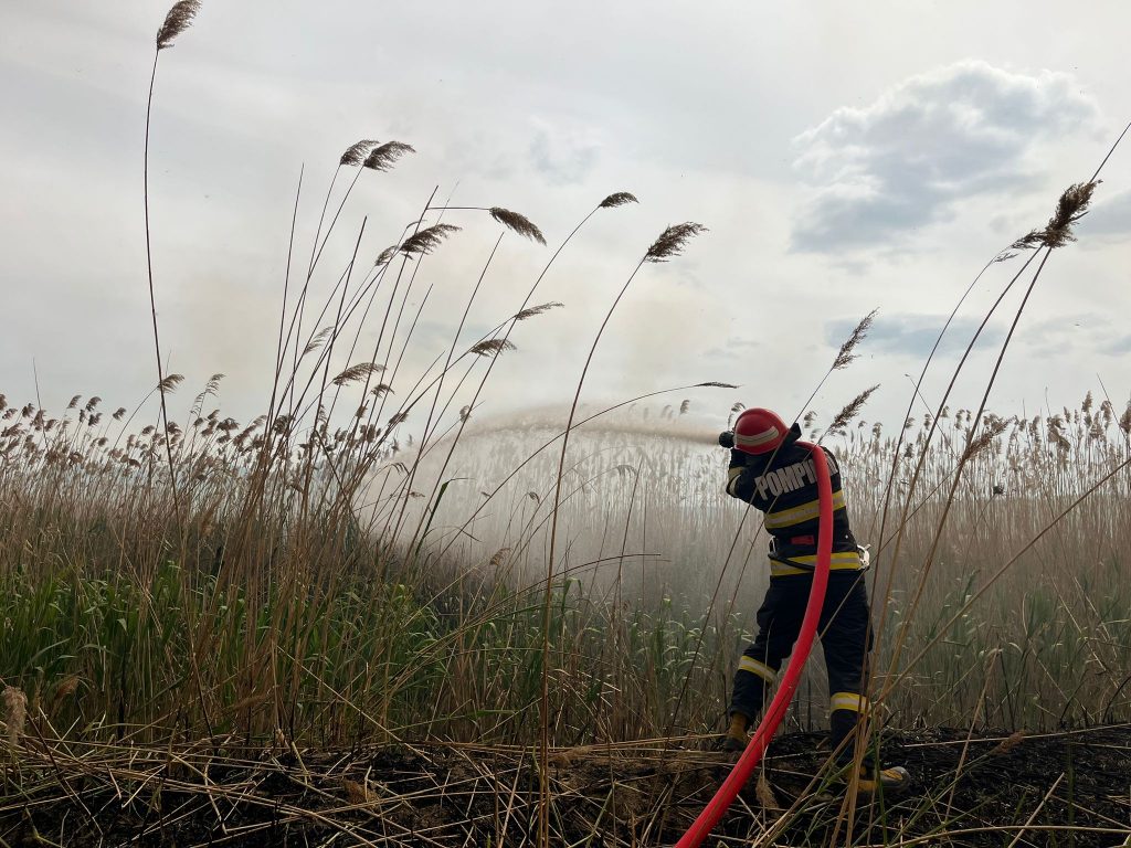 TULCEA: Mai puține incendii de vegetație, în Delta Dunării