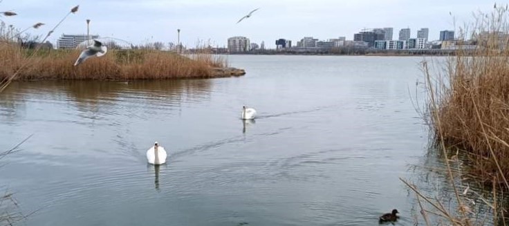 Vremea rămâne caldă, la început de săptămână, în Dobrogea