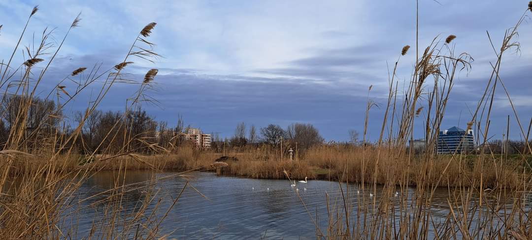 Vreme închisă, joi, în Dobrogea