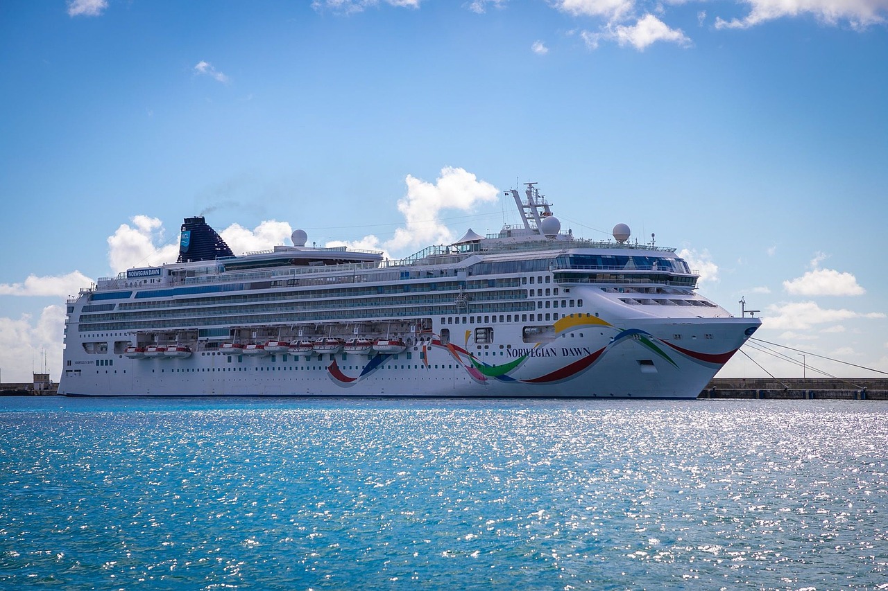Vas de croazieră cu peste 3.000 de persoane la bord, blocat în largul insulei Mauritius, din cauza suspiciunilor de holeră