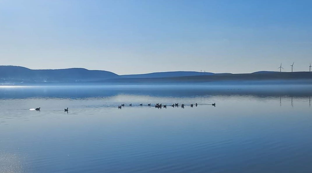 Încălzirea vremii continuă în Dobrogea