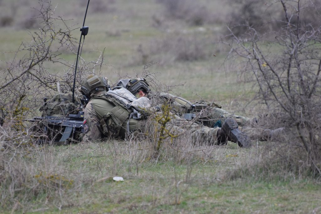 TULCEA: Exerciţii militare în Poligonul Babadag și trafic restricţionat pe DJ 222