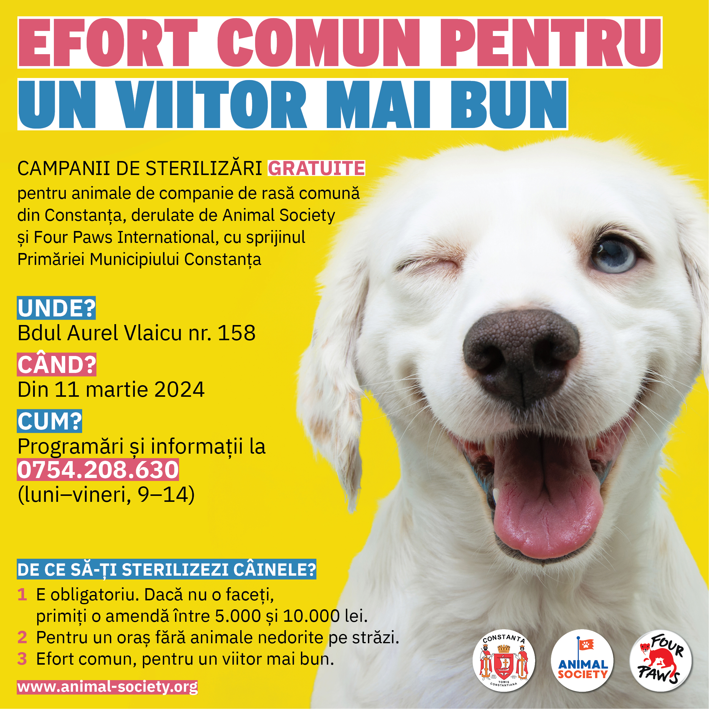 CONSTANȚA: Astăzi începe prima campanie din 2024 de sterilizare gratuită a animalelor de rasă comună