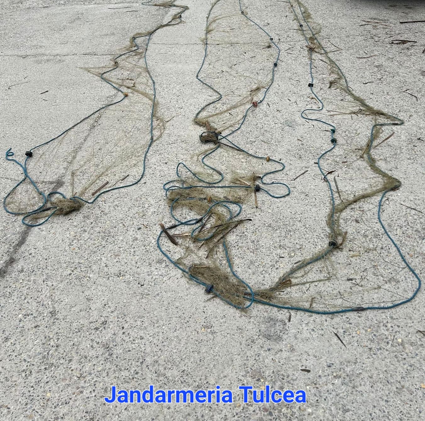 TULCEA: Jandarmii au aplicat amenzi, printre altele, pentru pescuitul în perioada de prohibiție și în zonele de protecție