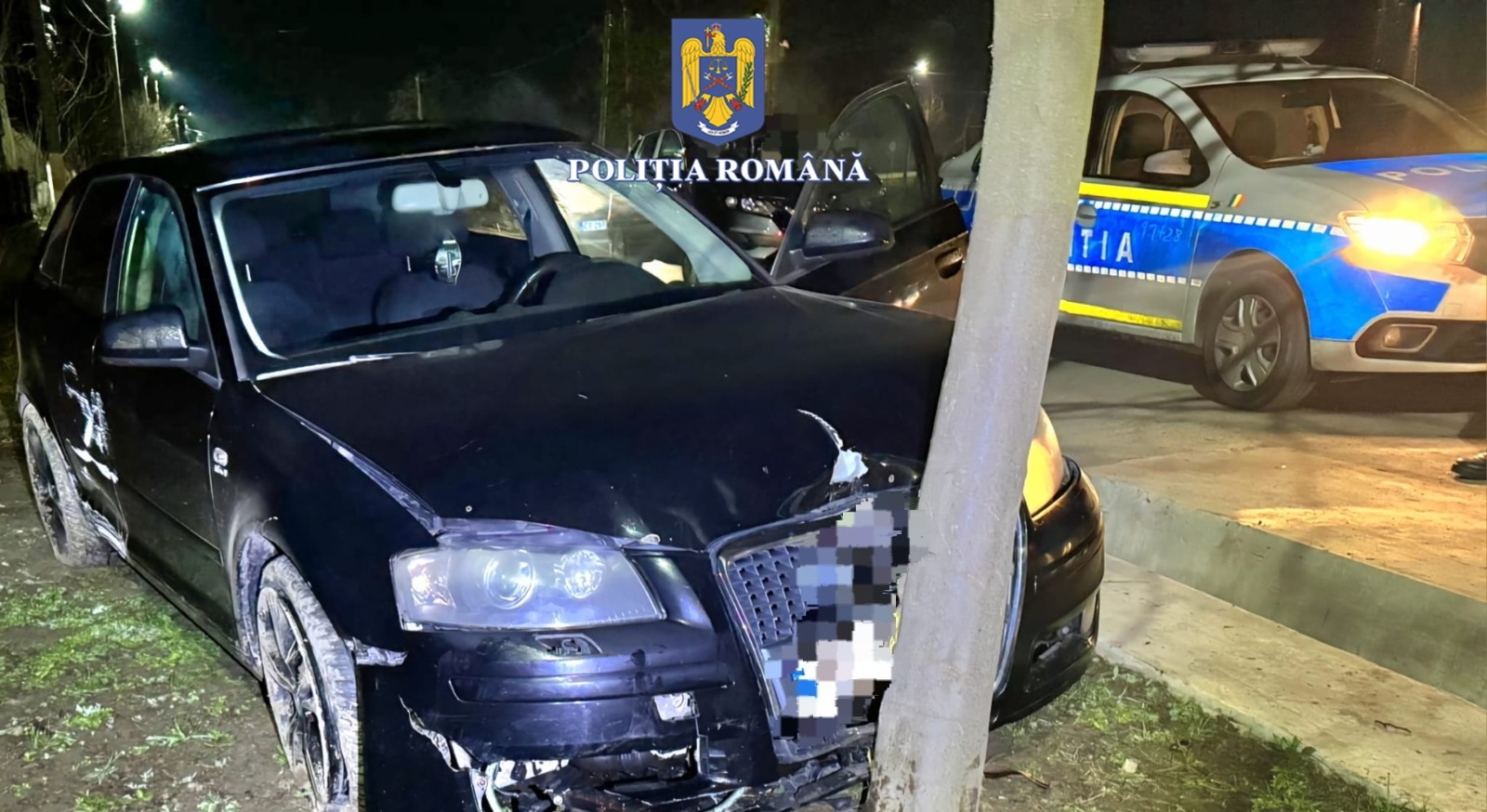 COBADIN: A intrat cu mașina furată într-un copac, în timp ce voia să scape de polițiștii care îl urmăreau