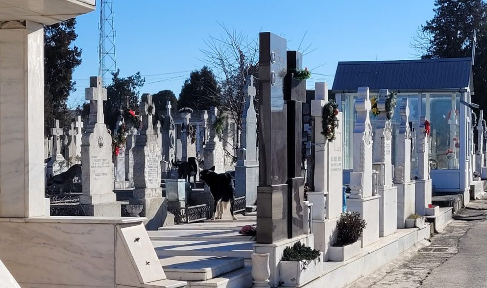 TOPRAISAR: Cercetați pentru furt și profanare de morminte, după ce au sustras stâlpi din granit și bare de inox din cimitir