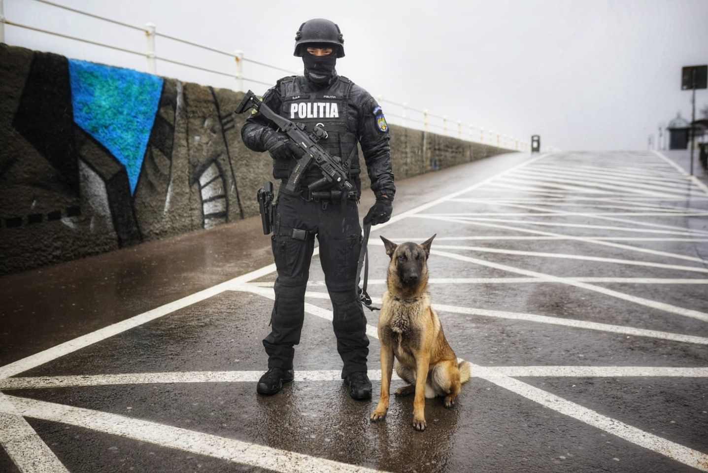 Constănțenii sunt invitați, sâmbătă și duminică, la evenimentele de promovare a meseriei de polițist, organizate de IPJ Constanța