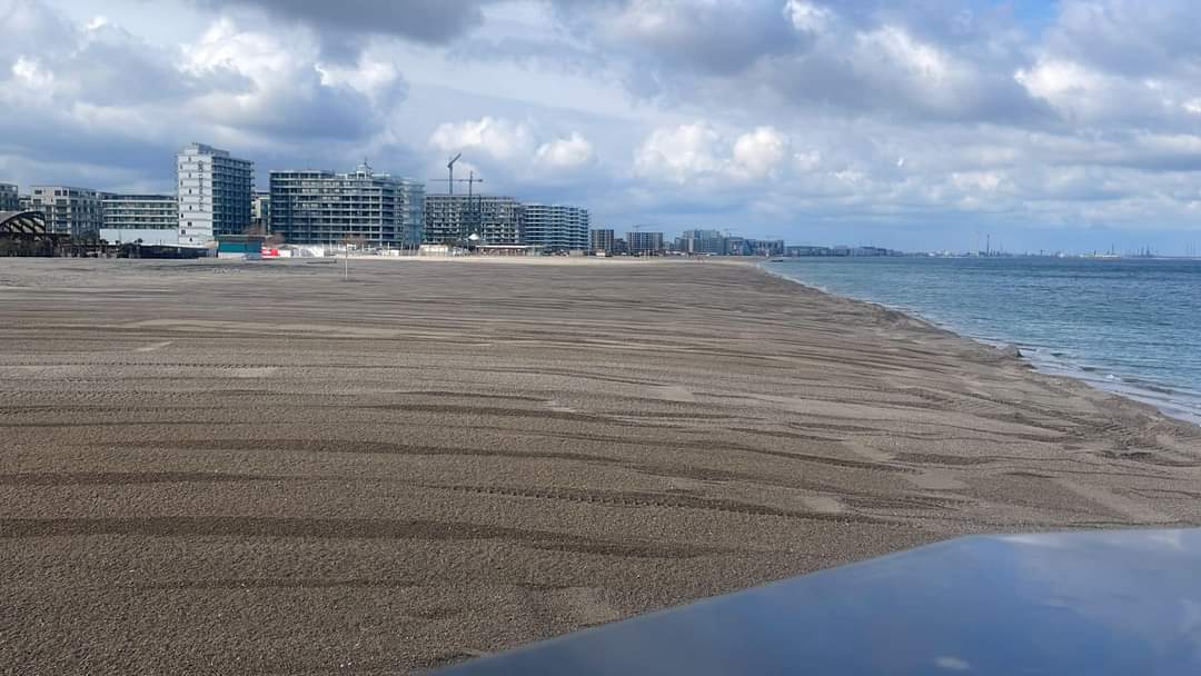 ABADL: Plajele închiriate vor fi predate operatorilor până la 20 aprilie
