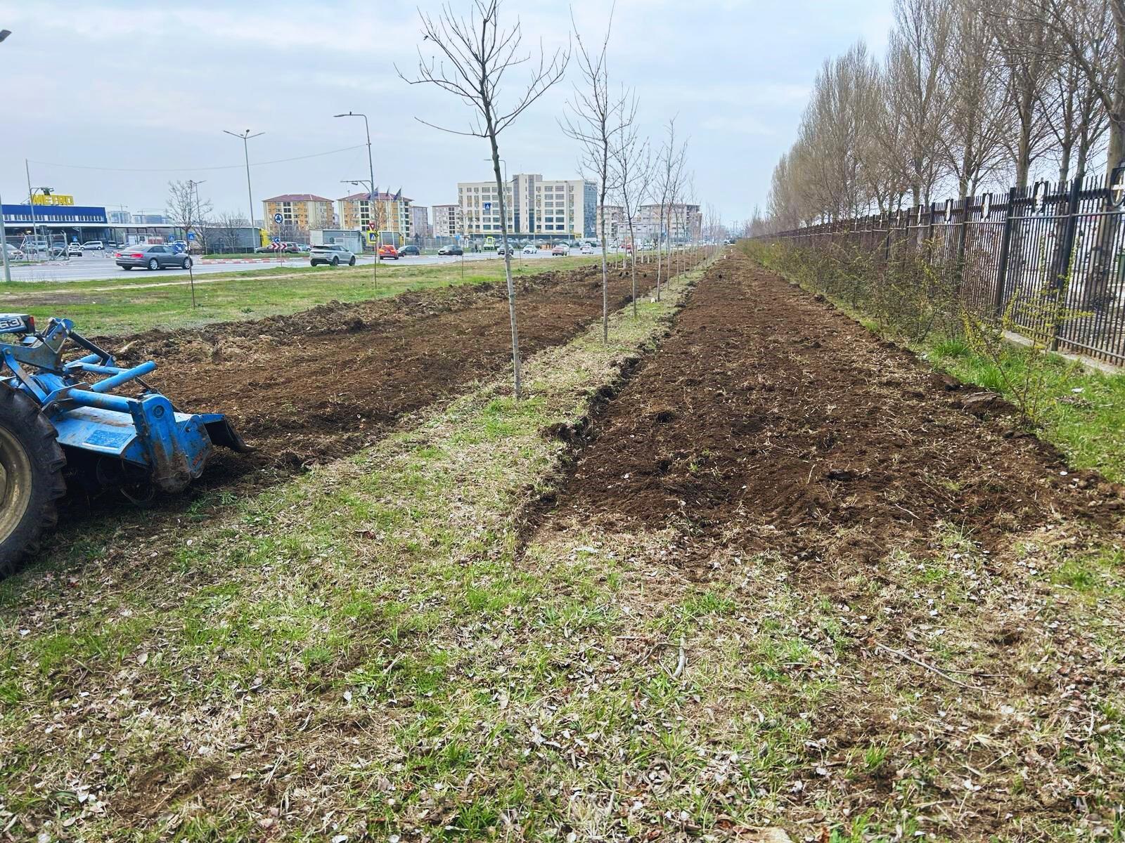 CONSTANȚA: Cetățenii sunt invitați să participe la înființarea unui nou spațiu verde în oraș