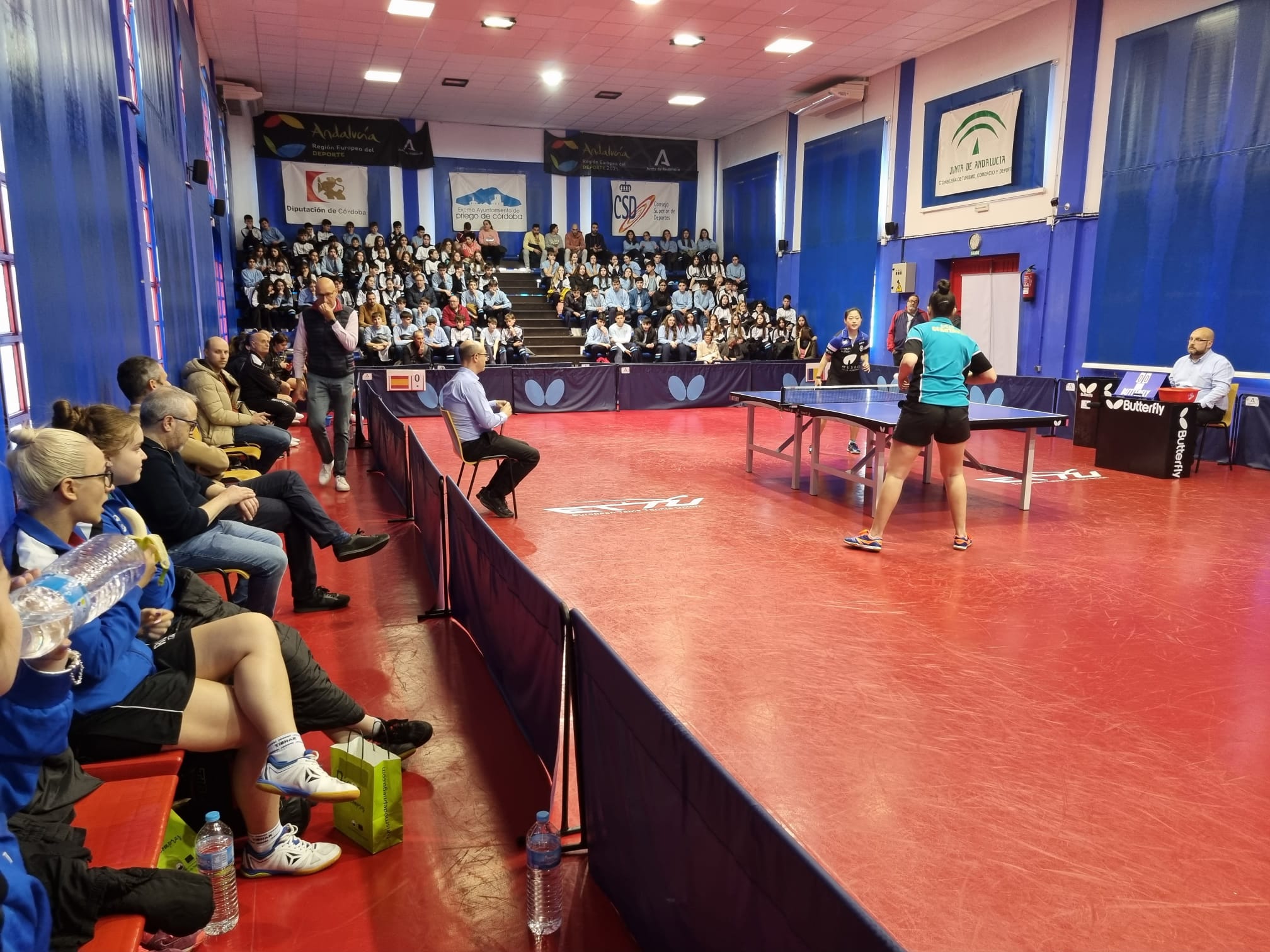 Echipa CSM Constanța este la un pas de finala ETTU Europe Cup