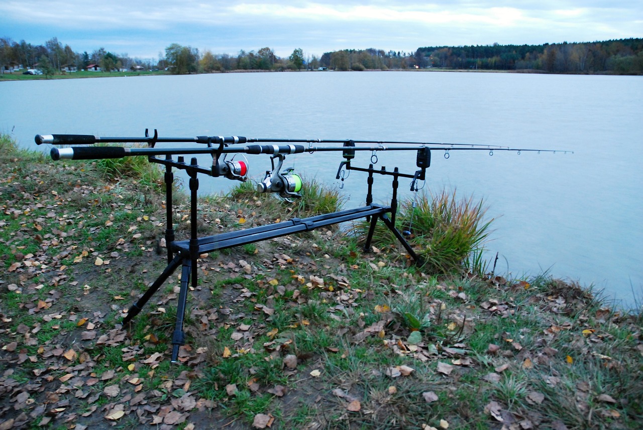 TULCEA: Pescari sportivi, sancționați de jandarmi pentru capturi subdimensionate și încălcarea prohibiției