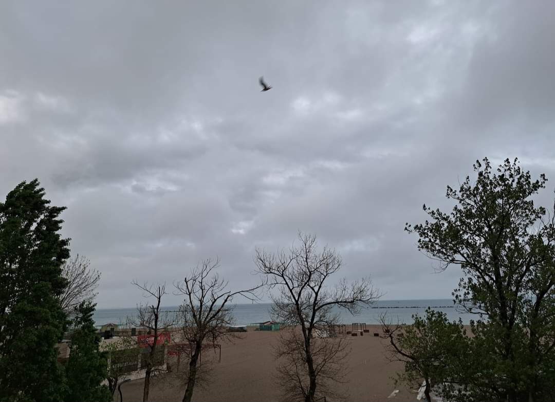 Vreme deosebit de rece, în Dobrogea și pe litoral