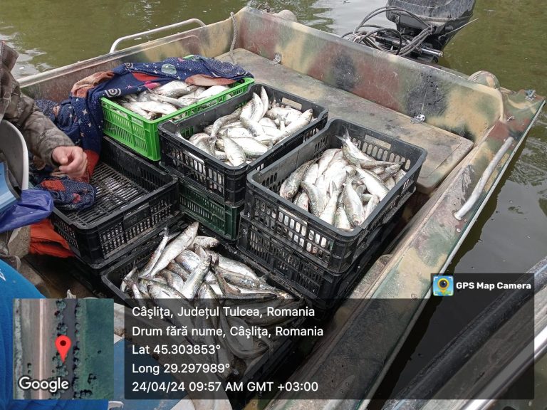 TULCEA: Acțiune antibraconaj piscicol, pe apă și pe uscat. 4 autovehicule, 250 kg. de pește și 14 km. de plase de pescuit ilegale confiscate