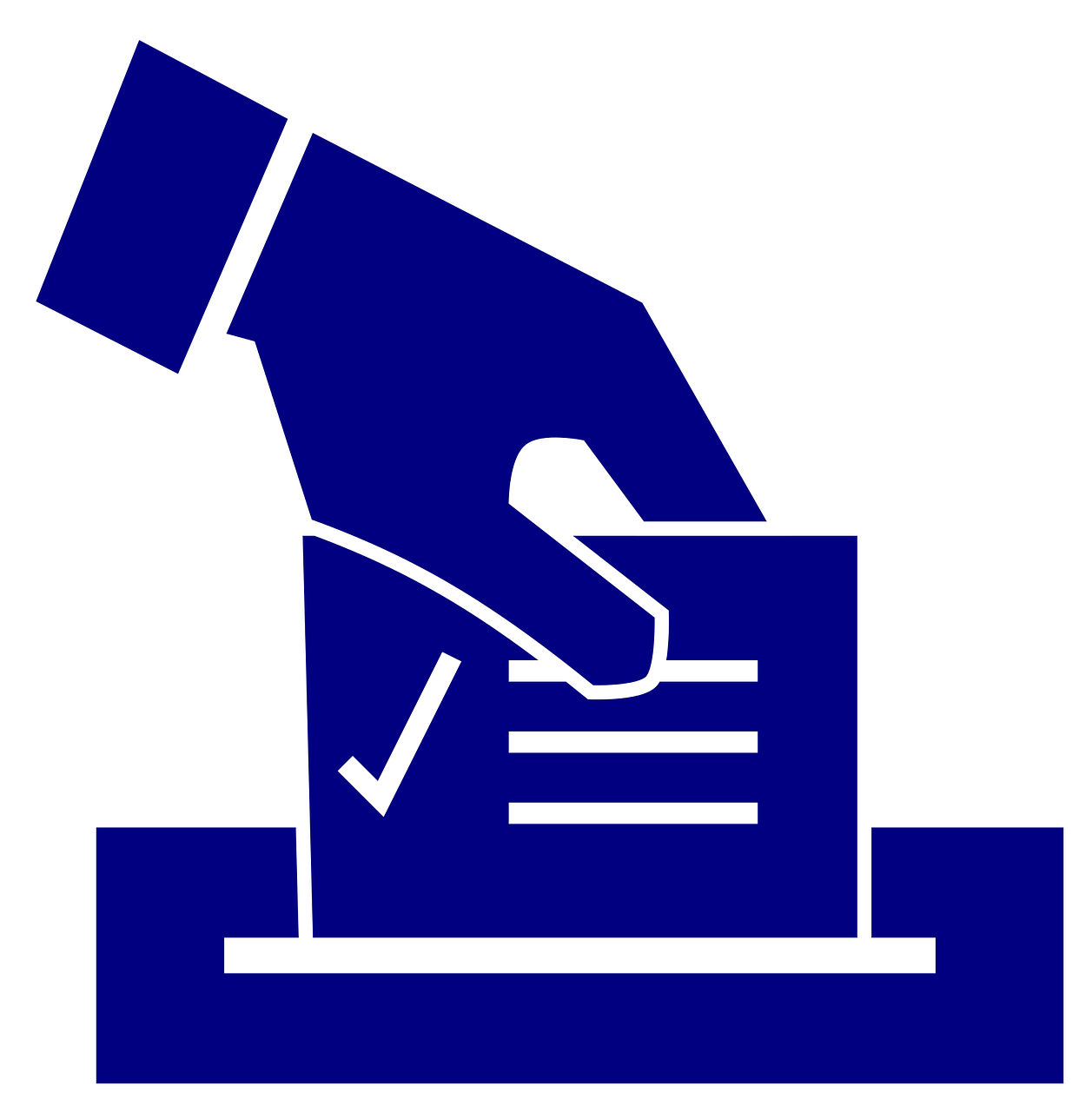 AEP: 18.965.288 de cetăţeni cu drept de vot, înscrişi în Registrul electoral la data de 31 martie