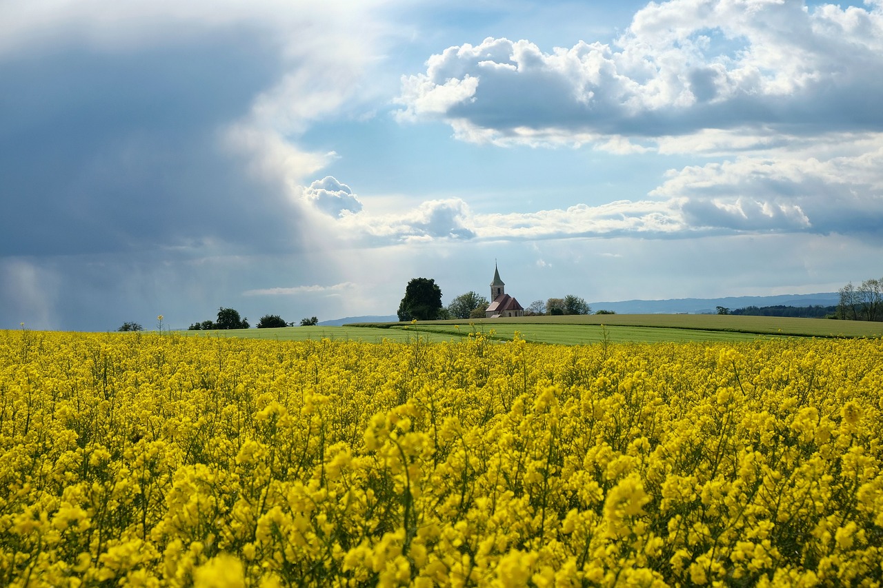 Vreme cu nori și soare, în Dobrogea și pe litoral