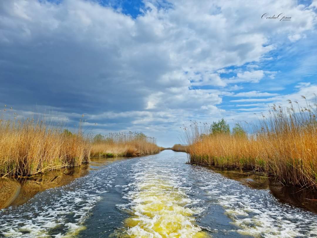 TULCEA: Proiecte de mediu, întârziate în Delta Dunării