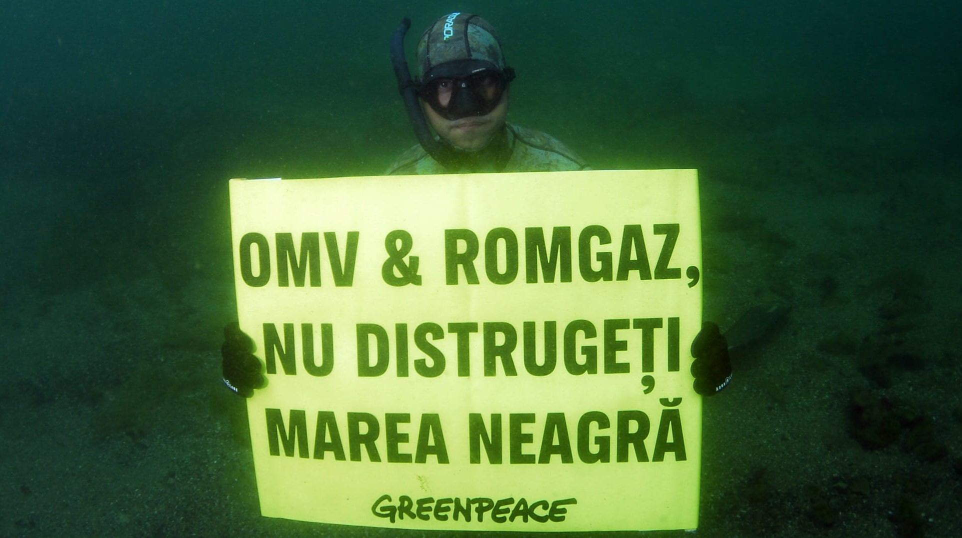 ABADL și Institutul „Grigore Antipa”, acționate în instanță de Greenpeace România, în cazul proiectului Neptun Deep