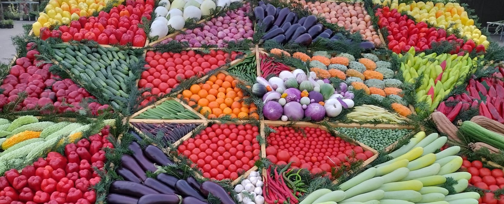 AUDIO | Agricultorii români pot primi, gratuit, semințe de legume din soiurile autohtone