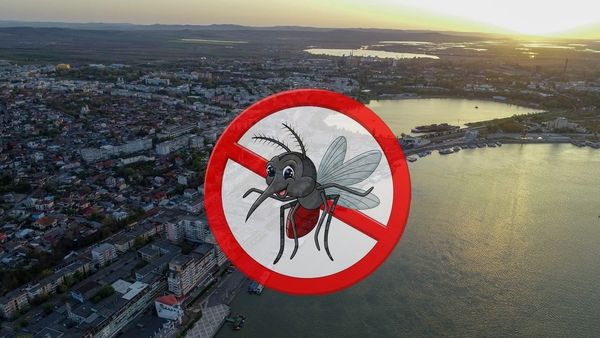 TULCEA: Dezinsecție pentru combaterea țânțarilor. Evitați anumite zone!