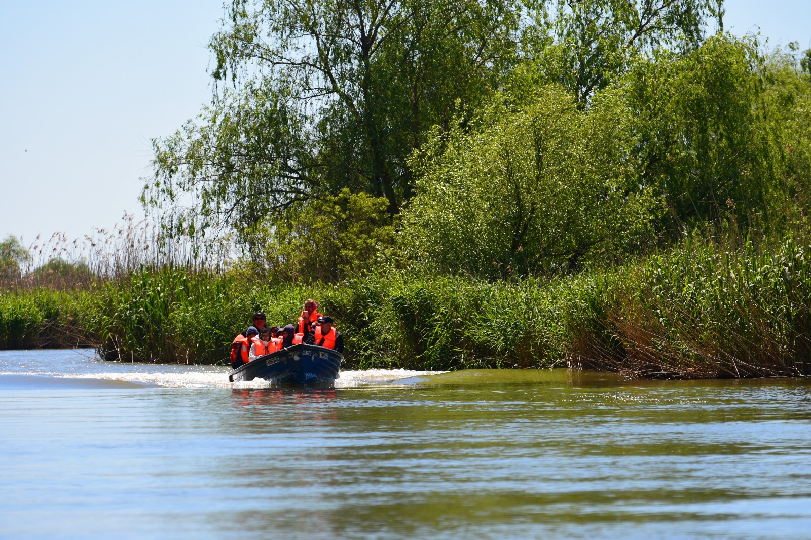 TULCEA: Turismul din Delta Dunării, încercat de scumpiri, taxe și concurență neloială