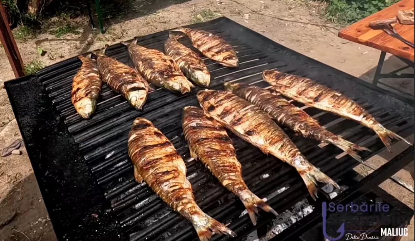 TULCEA: Cea de-a III-a ediție a Festivalului “Serbările Scrumbiei” de la Maliuc