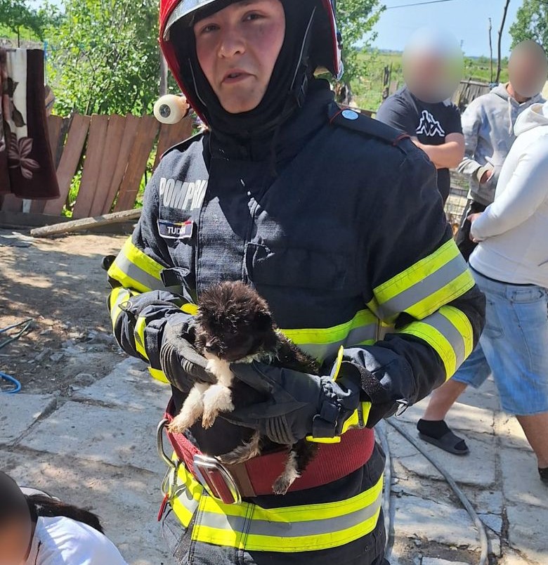 FOTO | Incendiu urmat de explozia a două butelii de gaz, într-o casă din MĂCIN. Pompierii au salvat doi cățeluși!