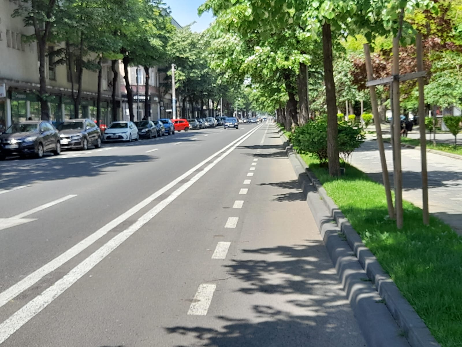 Circulaţia rutieră va fi resistematiză pe o porţiune de pe bulevardul Tomis