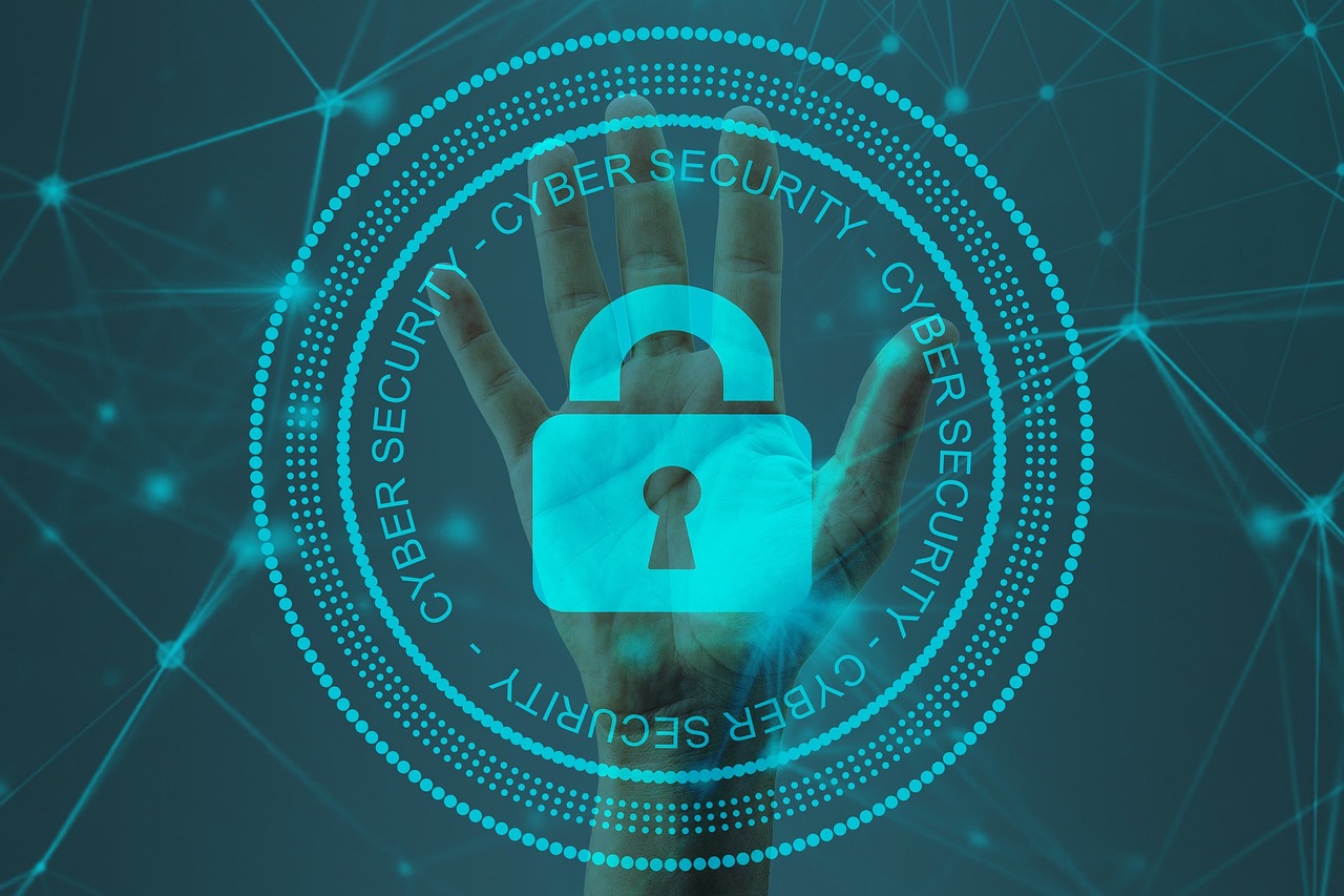 DNSC anunță lansarea „Ghidului de protecție a datelor online, pentru copii, părinți și profesori”