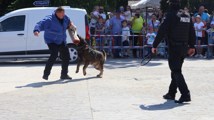 TULCEA: Show de dresaj canin în Piața Civică