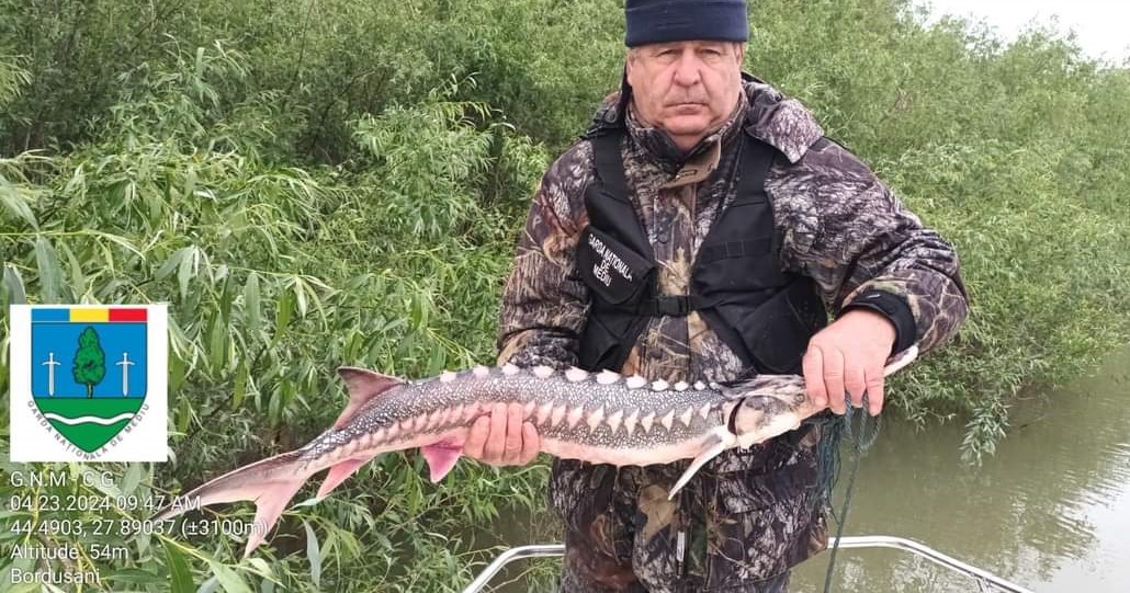 TULCEA: Acțiuni antibraconaj în Delta Dunării, în perioada de prohibiție