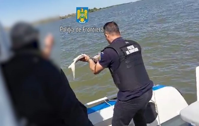 VIDEO: Braconier prins cu 4 sturioni și un calcan, capturați din Marea Neagră