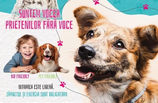 CONSTANȚA: Târg de adopții canine în Parcul Tăbăcărie – 10 căței își caută familii