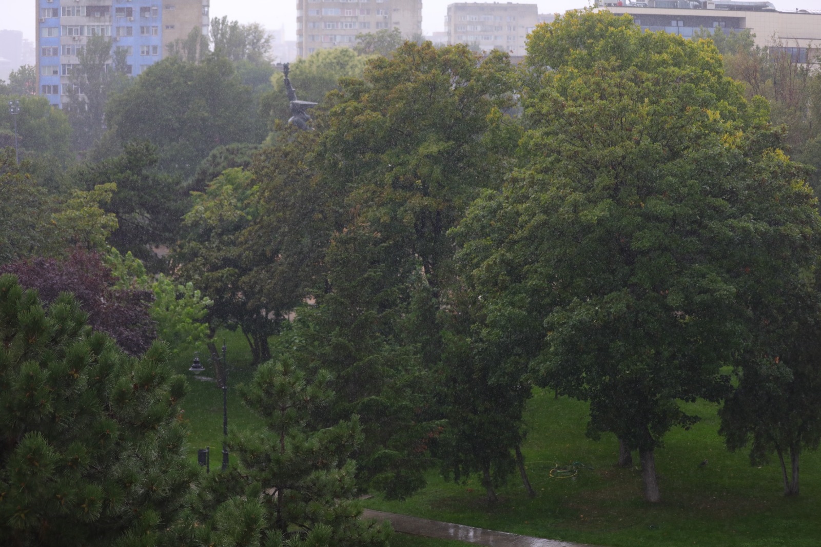Constanța, sub cod galben de ploi și intensificări ale vântului!