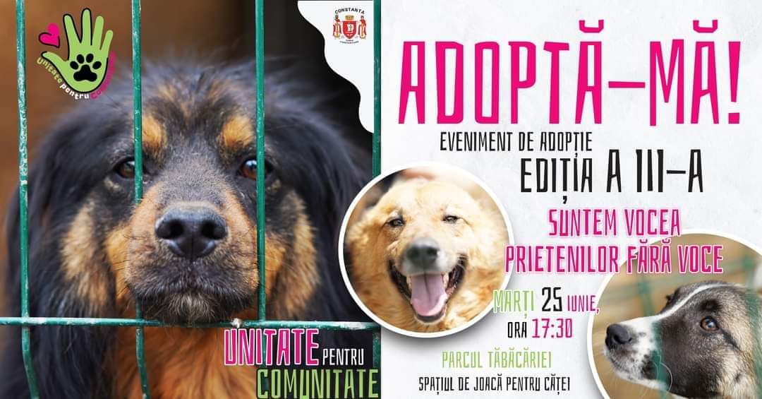 CONSTANŢA: Cea de-a treia ediţie a evenimentului de adopţii a câinilor din Adăpostul public are loc în Parcul Tăbăcărie