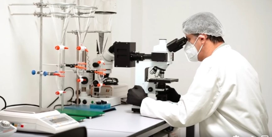 Scoicile și rapanele din Marea Neagră, SIGURE pentru consum
