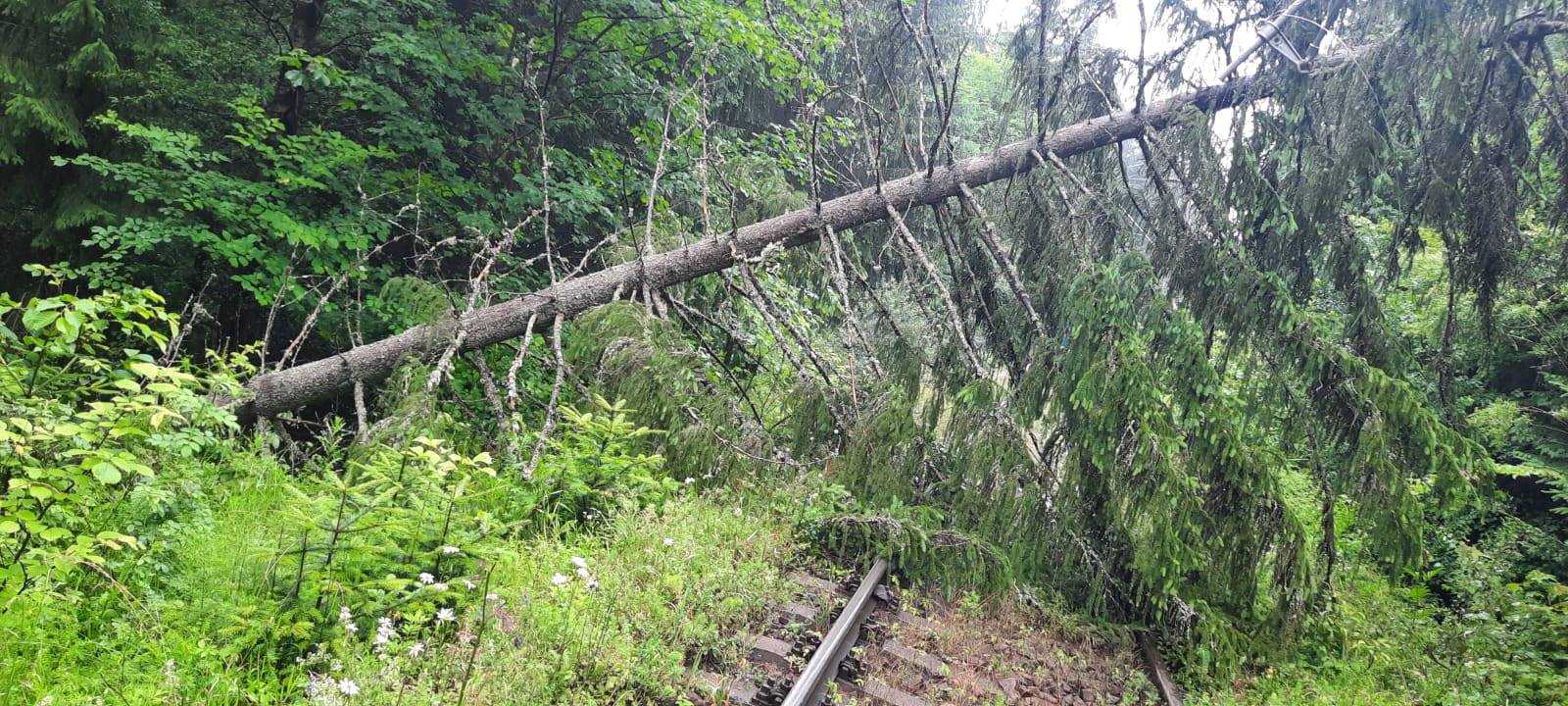CFR Călători: Întârzieri ale trenurilor din cauza condiţiilor meteo nefavorabile