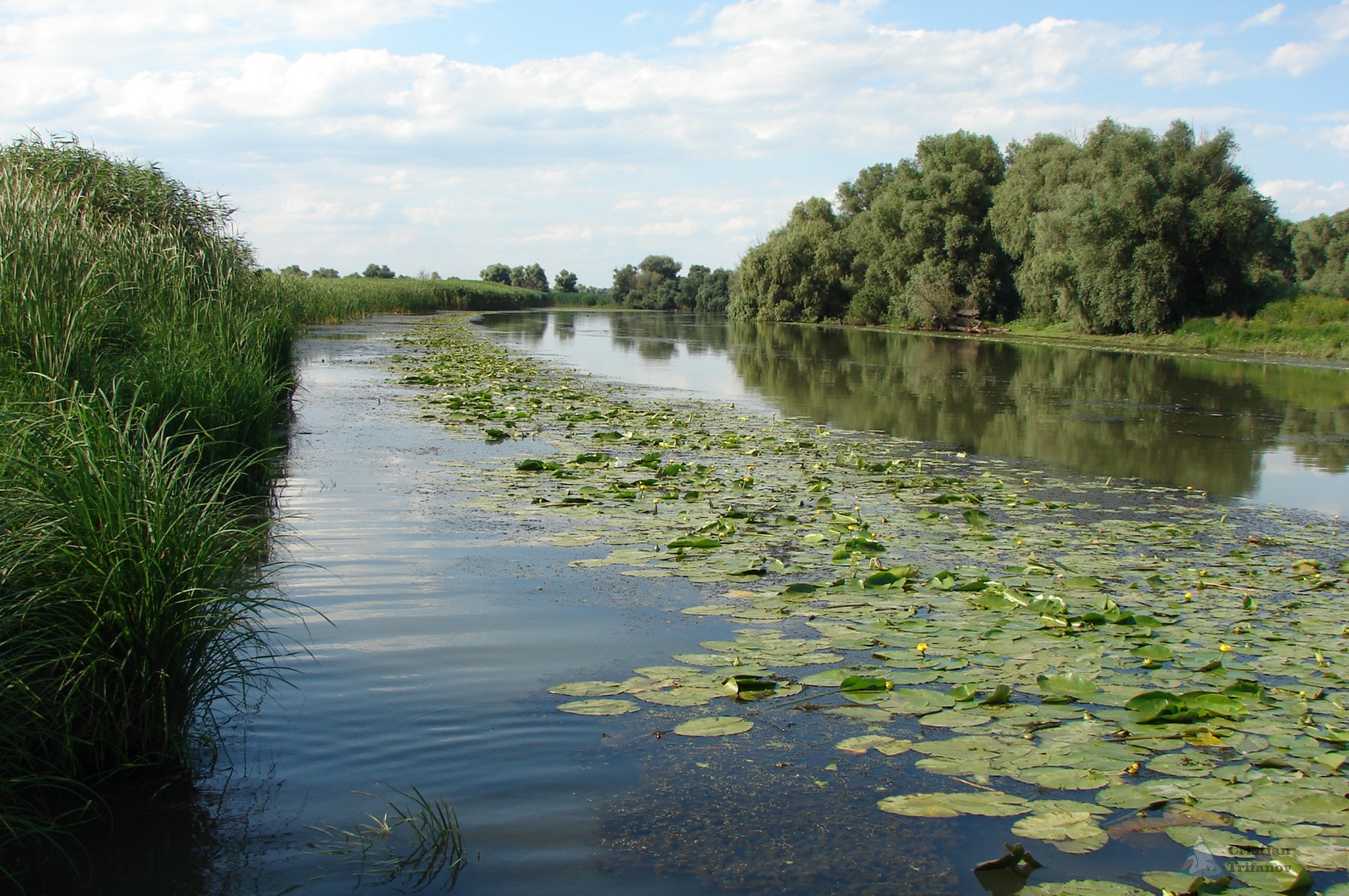 TULCEA: Proiecte de protejare a biodiversității Deltei, finanțate cu jumătate din suma necesară