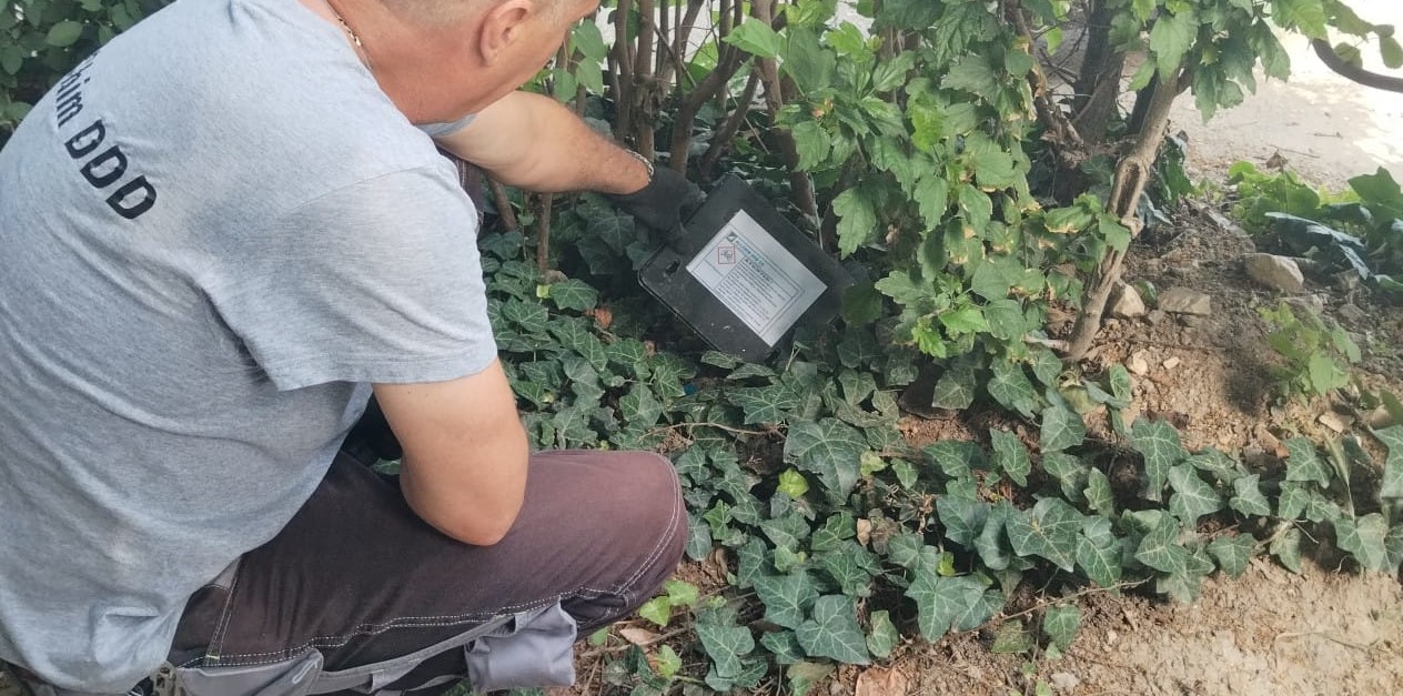 CONSTANȚA: Continuă acțiunile de deratizare în municipiu