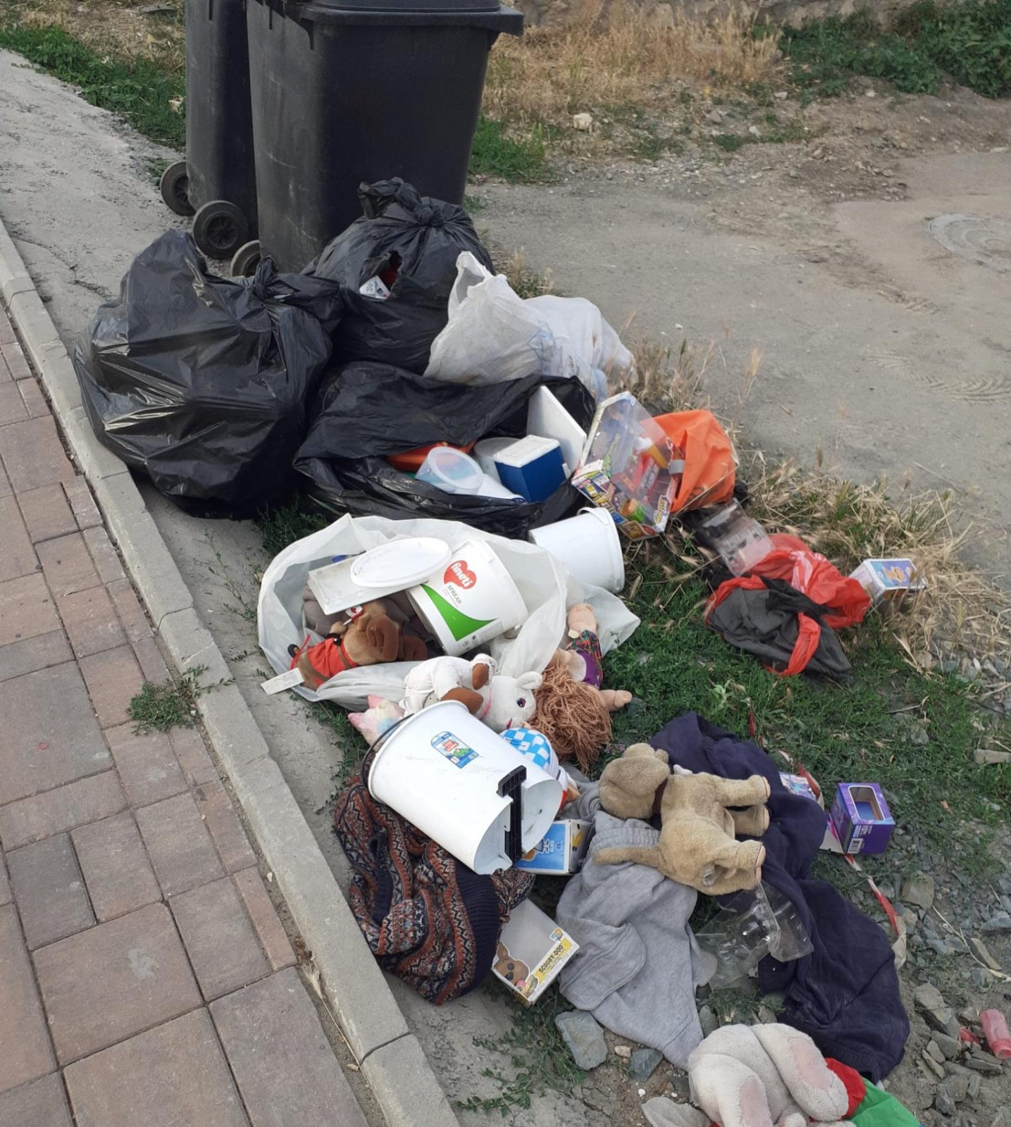 CONSTANȚA: Amenzi de 1,6 milioane de lei pentru atuncarea gunoaielor la întâmplare