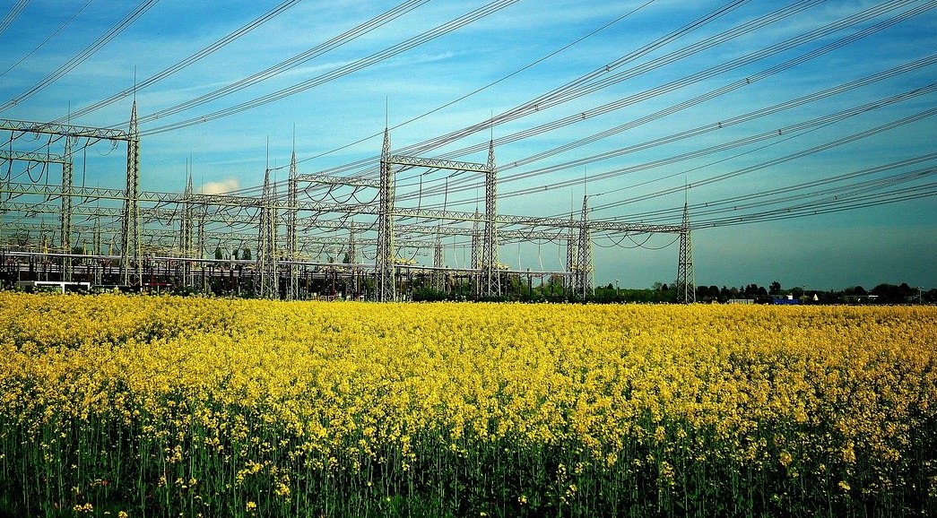 Licitaţie de aproape 42 de milioane de lei pentru modernizarea rețelei electrice din zona Valu lui Traian – Murfatlar