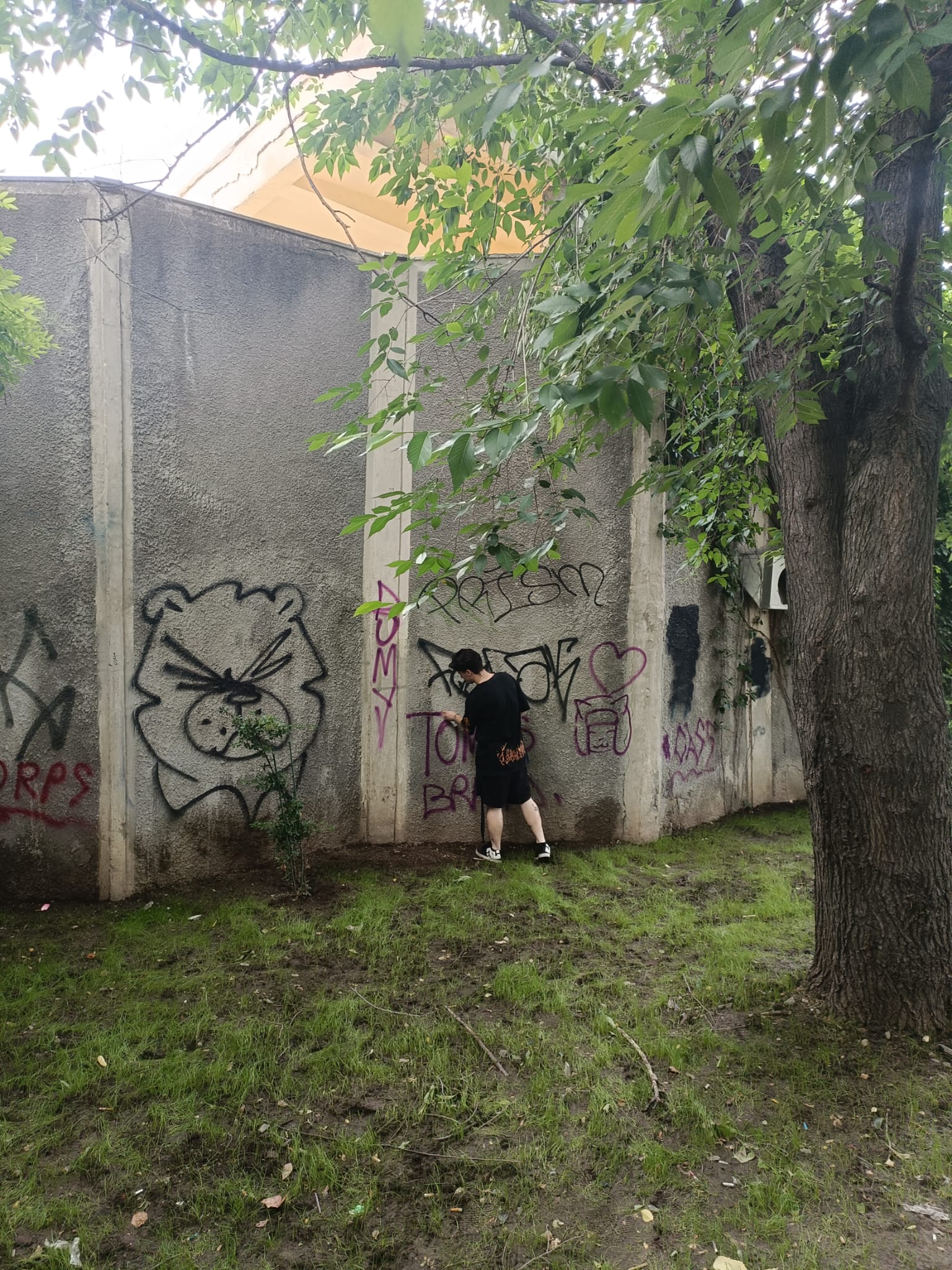 CONSTANȚA: ”Artist” de ocazie surprins în timp ce efectua desene tip graffiti pe un perete al clădirii fostului Teatru de vară
