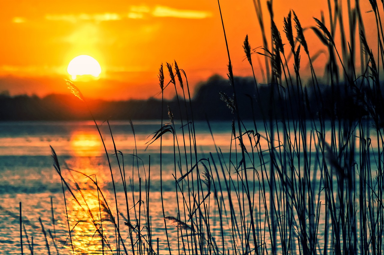 Dobrogea continentală, sub COD GALBEN de caniculă și luni