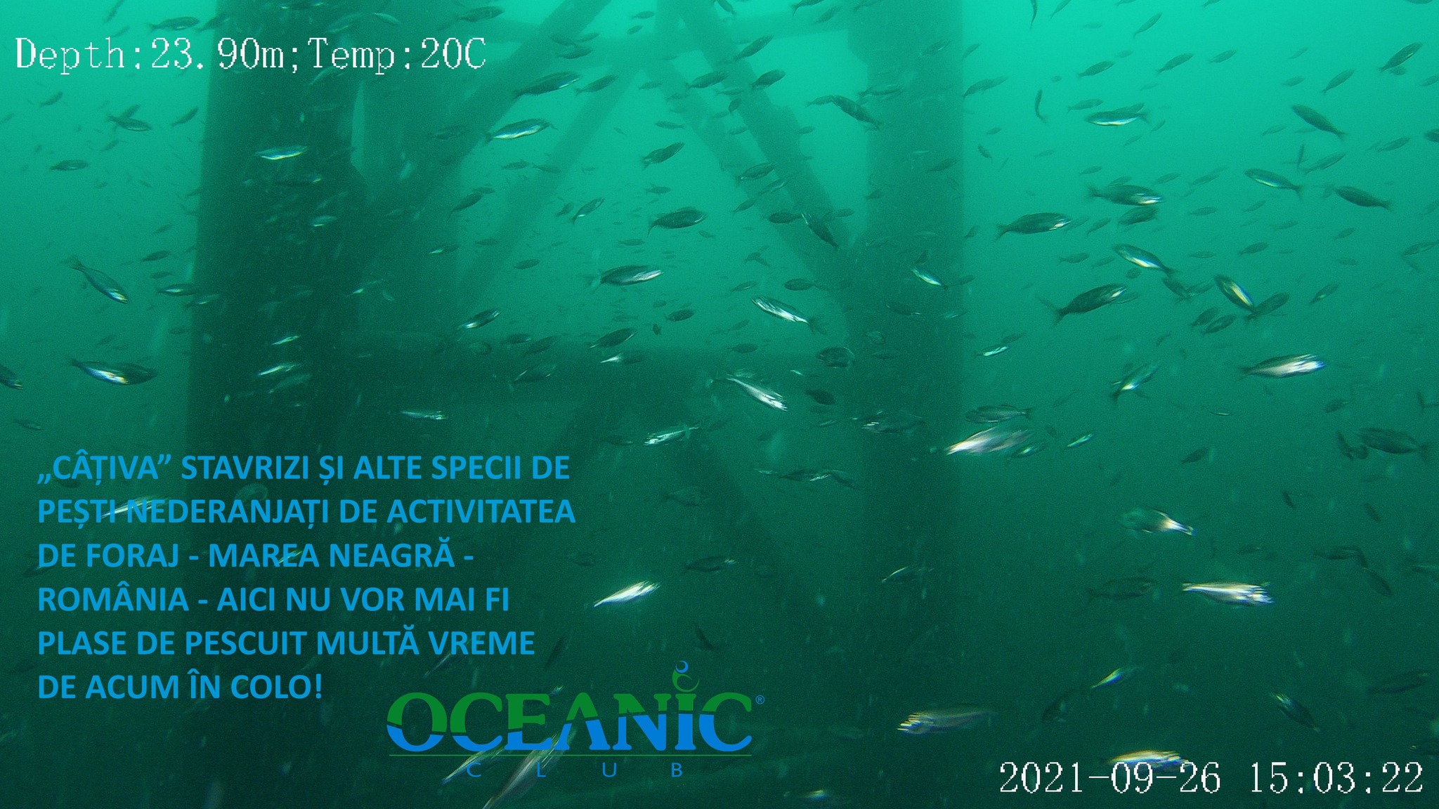 Greenpeace România critică din nou proiectul Neptun Deep. Dr. Răzvan Popescu-Mirceni, directorul Oceanic-Club, demontează afirmațiile propagate de organizație