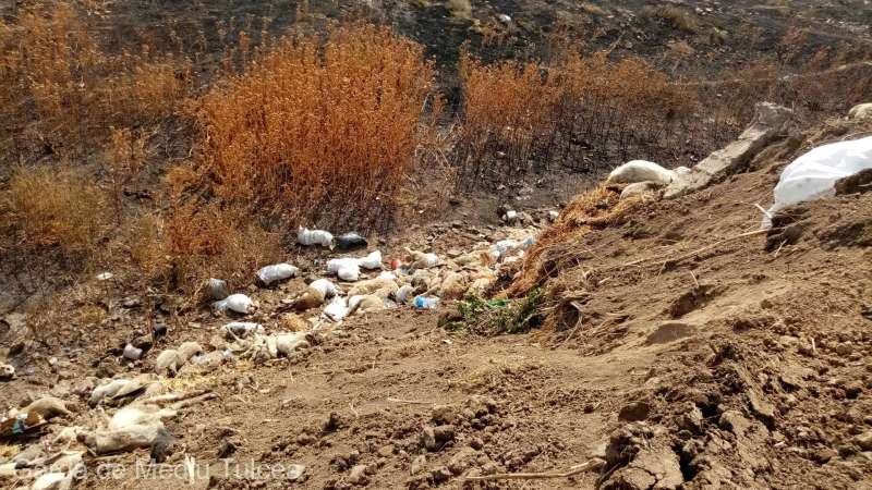 TULCEA: Anchetă în cazul zecilor de cadavre de ovine incendiate şi îngropate la Babadag